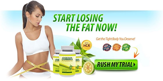 Garcinia Cambogia: Melley Paul